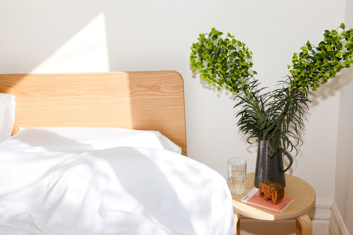 5 ways to make your home more eco-friendly