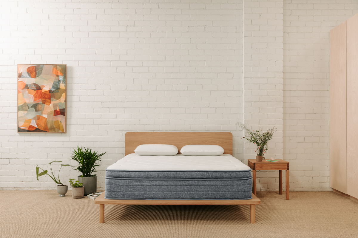 6 Indoor Plants That Will Spice Up Your Bedroom
