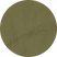 Fern