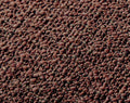 ECS_Burgundy_Lifestyle_1